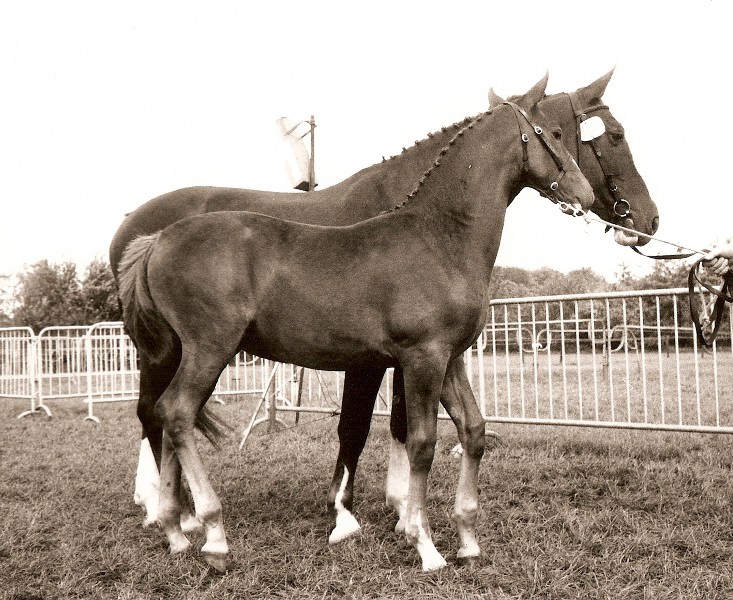 Irene I en Irene II