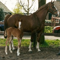 Irene met Norene
